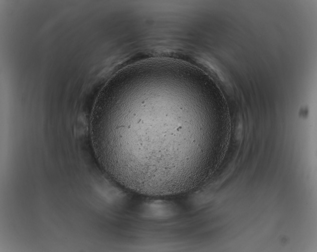 X0000091300467200708172212