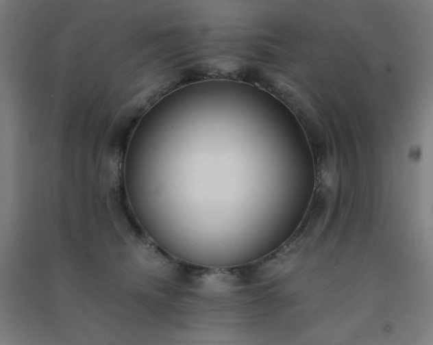 X0000091300468200708172212