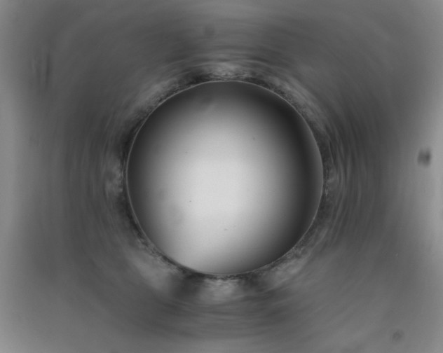 X0000091300469200708172212