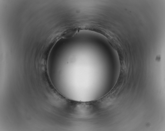 X0000091300470200708172212