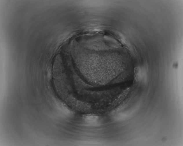 X0000091300471200708172212