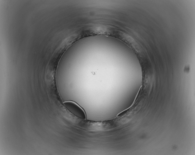 X0000091300473200708172212