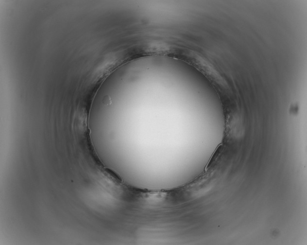 X0000091300474200708172212