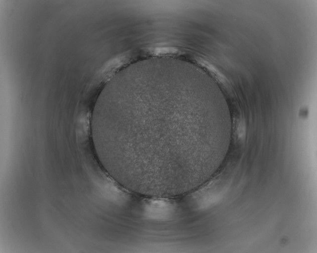 X0000091300475200708172212