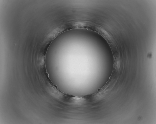 X0000091300477200708172212