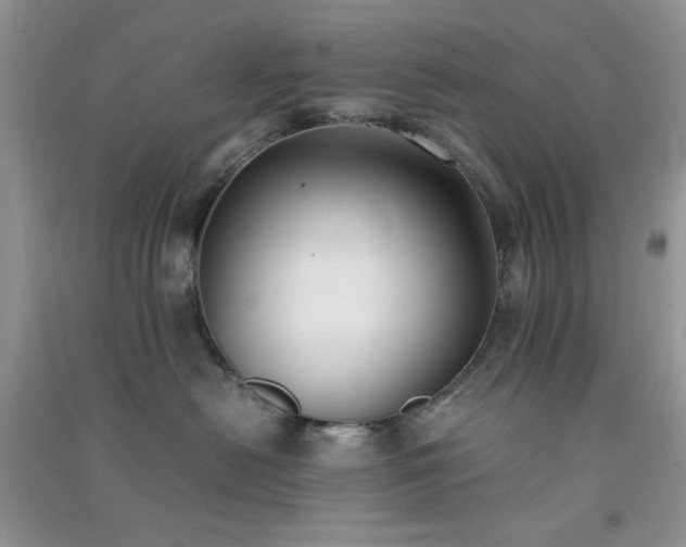 X0000091300478200708172212