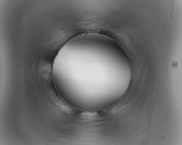 X0000091300480200708172212