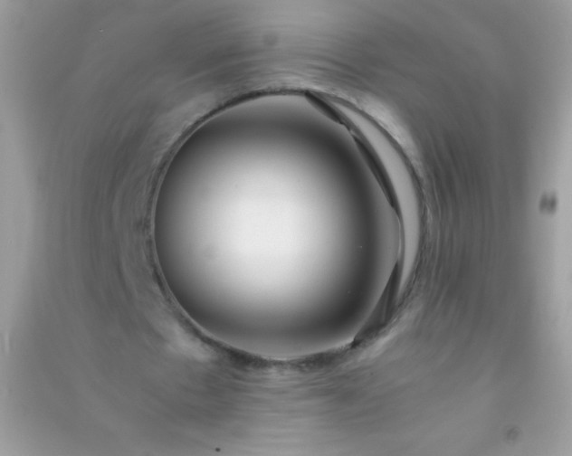 X0000091300481200708172211