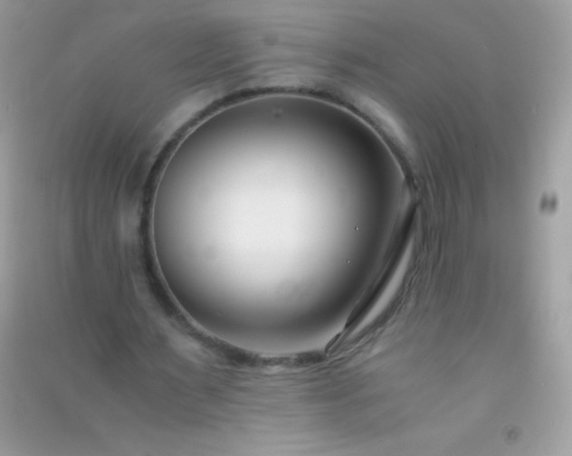 X0000091300483200708172211