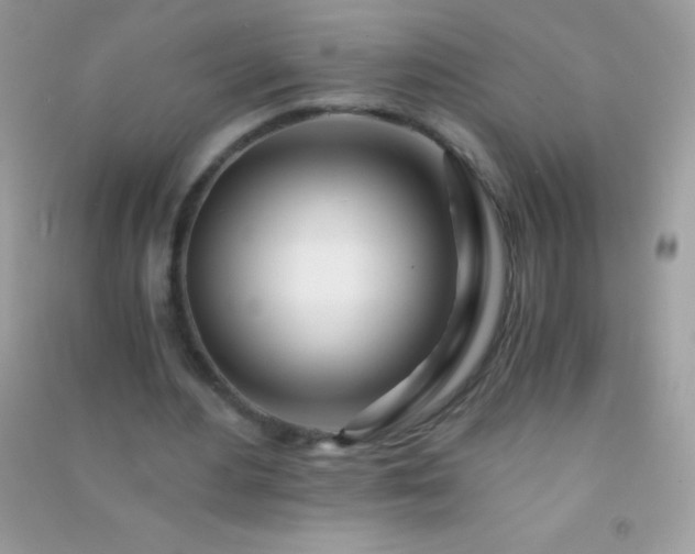 X0000091300484200708172211