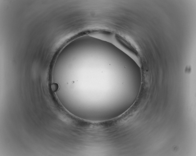 X0000091300487200708172211