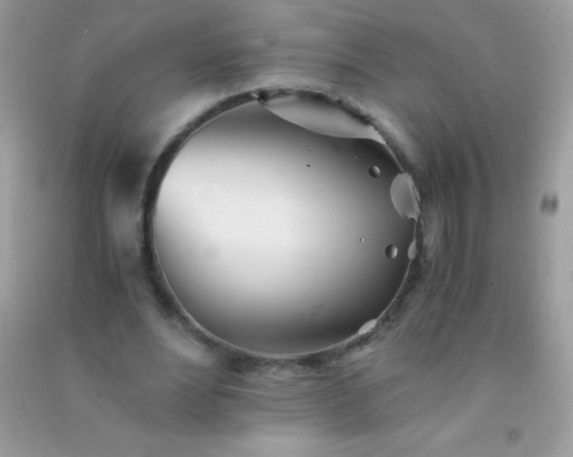 X0000091300488200708172211