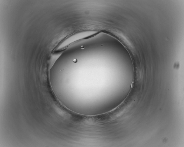 X0000091300489200708172211