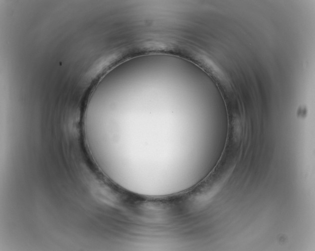 X0000091300490200708172211