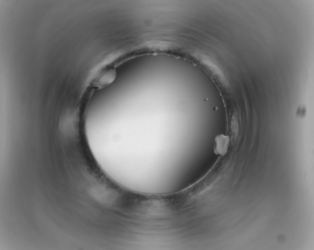 X0000091300492200708172211