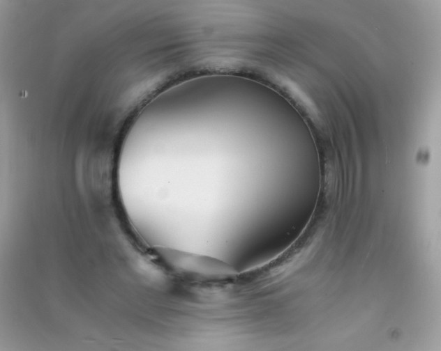 X0000091300493200708172211