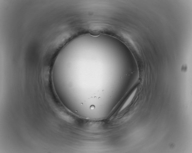 X0000091300495200708172211