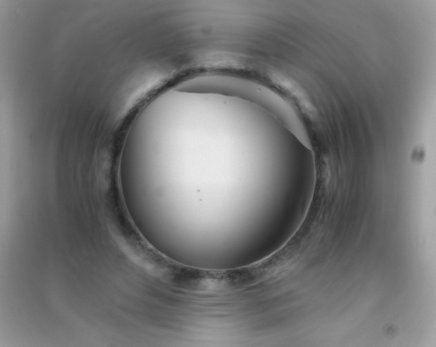 X0000091300496200708172211