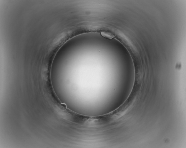 X0000091300497200708172211