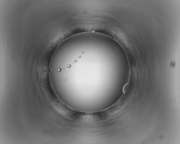 X0000091300499200708172211