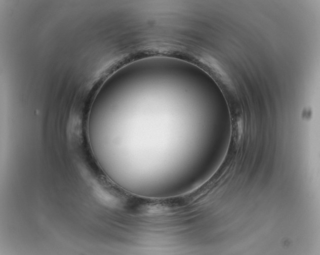 X0000091300500200708172211