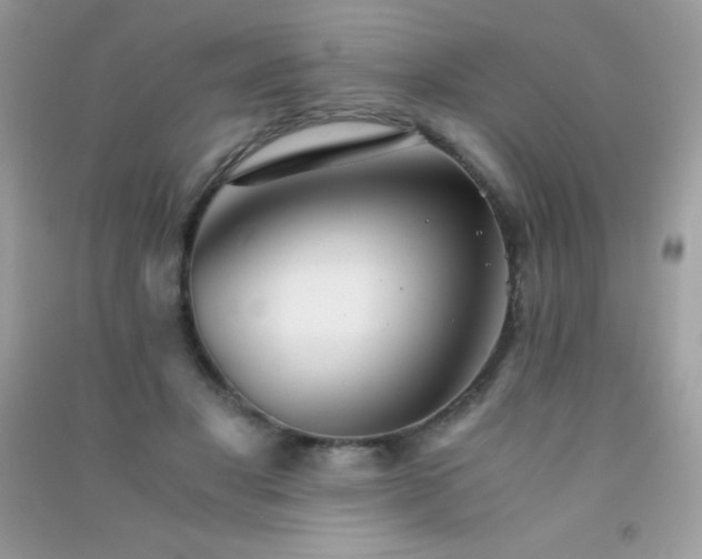 X0000091300501200708172211