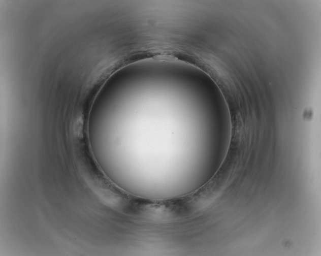 X0000091300502200708172211