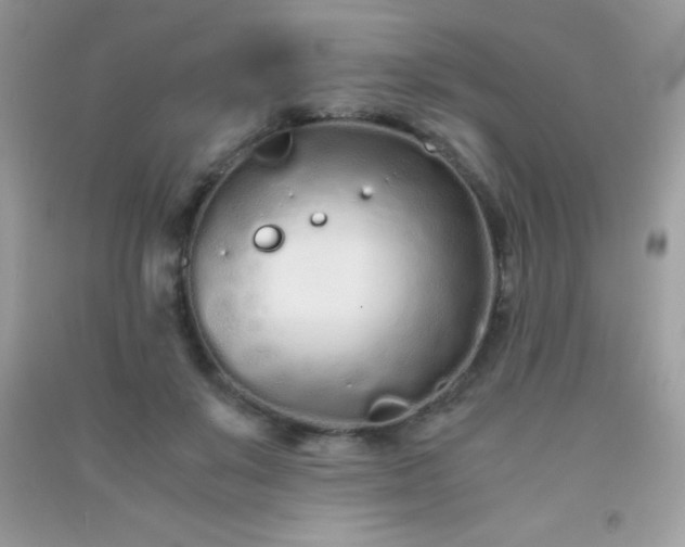 X0000091300503200708172211