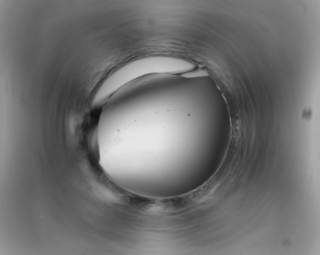 X0000091300504200708172211