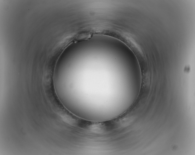 X0000091300505200708172211