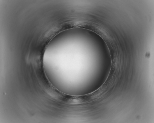 X0000091300506200708172211