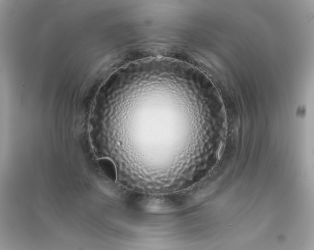 X0000091300507200708172211