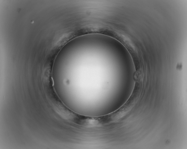 X0000091300509200708172211