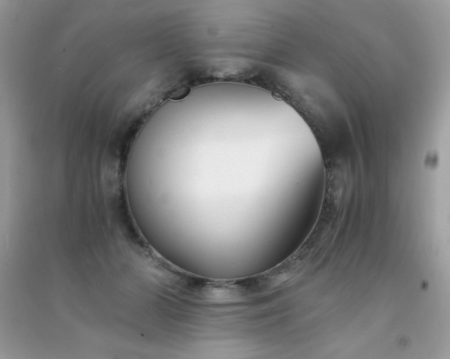 X0000091300510200708172211