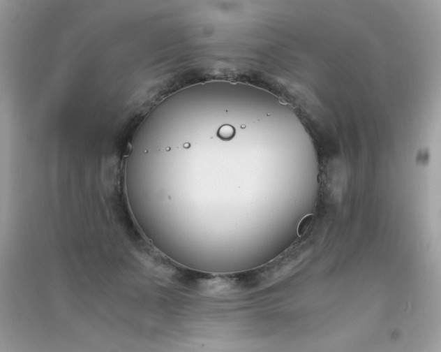 X0000091300511200708172211