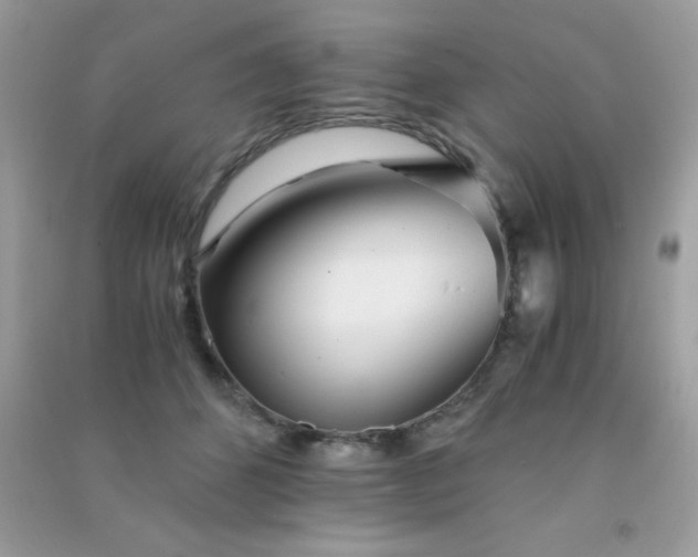 X0000091300512200708172211