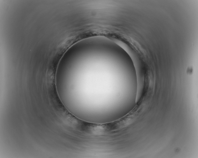 X0000091300513200708172211