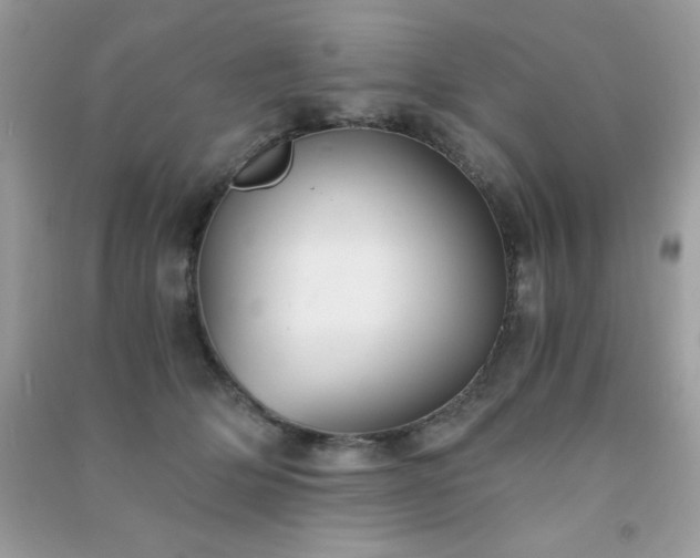 X0000091300514200708172211