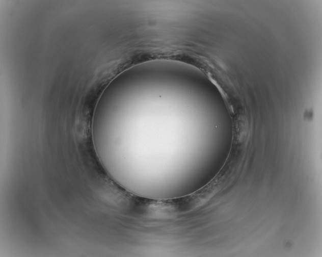 X0000091300515200708172211