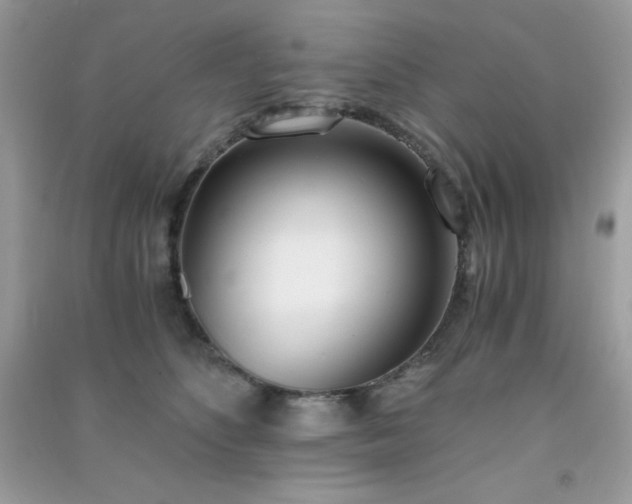 X0000091300516200708172211