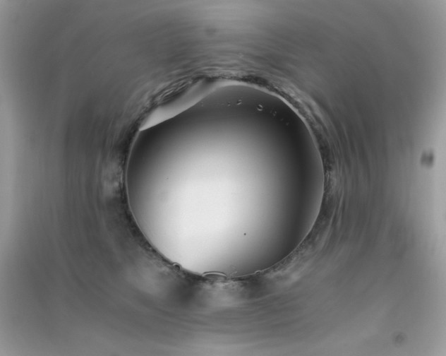 X0000091300517200708172211