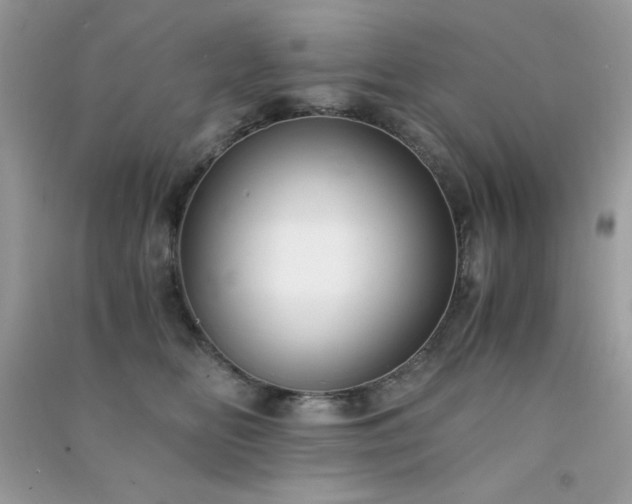 X0000091300518200708172211