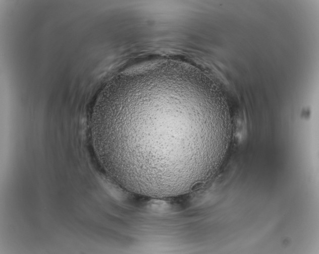 X0000091300519200708172211