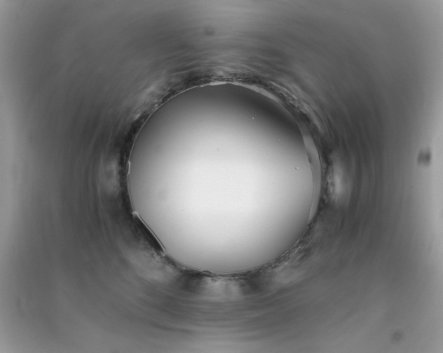 X0000091300520200708172211