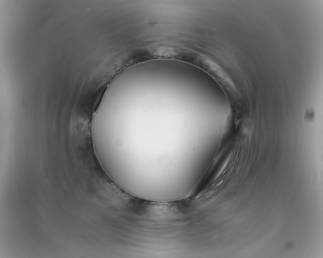 X0000091300521200708172211