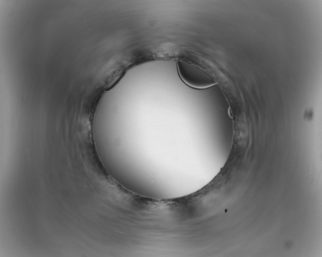 X0000091300523200708172211