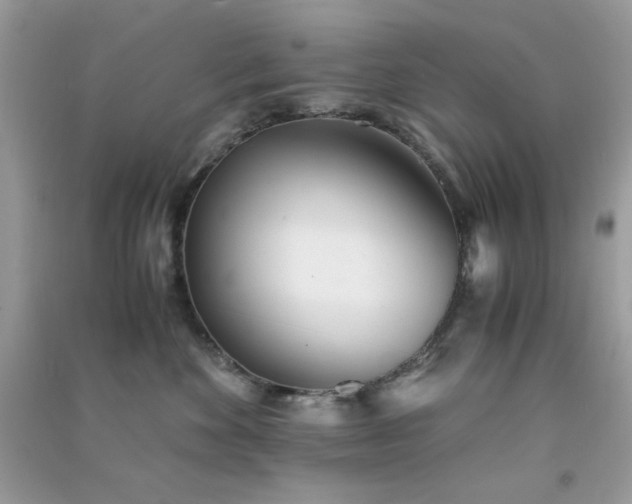 X0000091300524200708172211