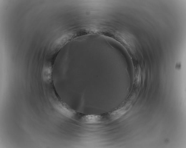 X0000091300526200708172211