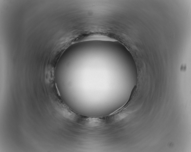 X0000091300528200708172211