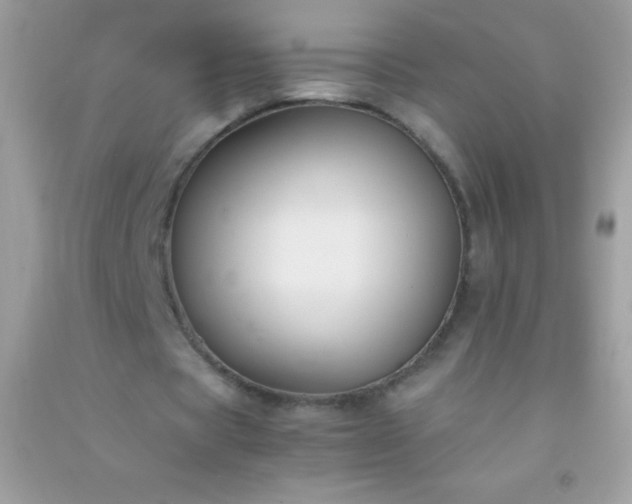 X0000091300529200708172210